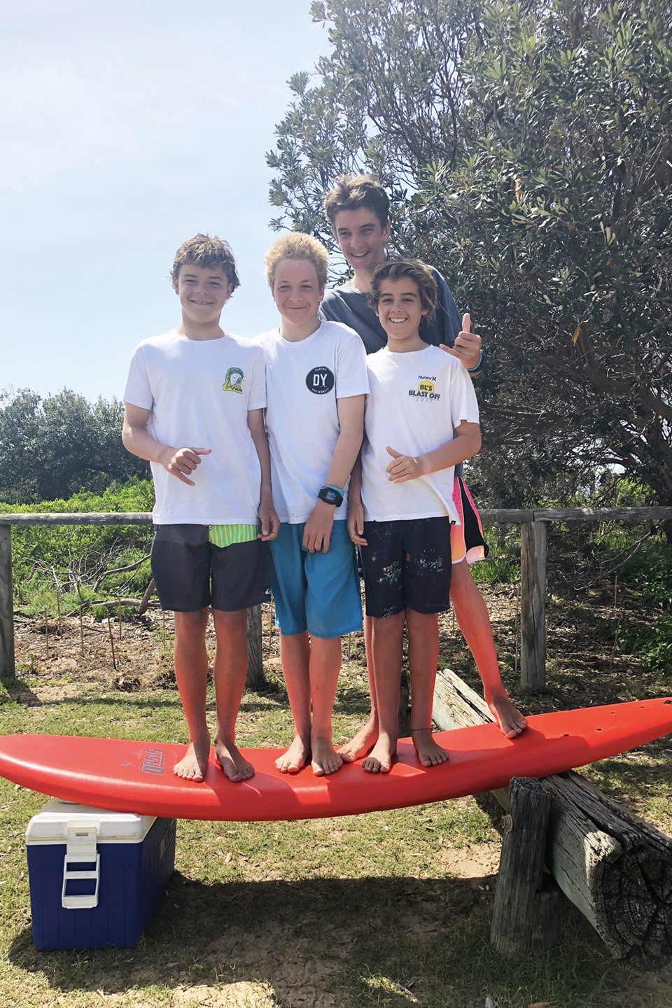 Oasis softboard cheap